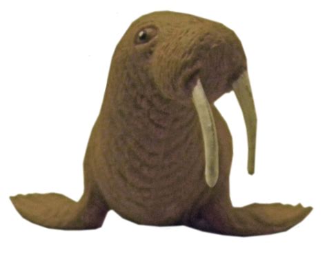 Walrus Png Transparent Svg Clip Arts Download Download Clip Art Png