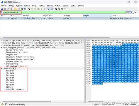 Wireshark添加自定义协议解析 wireshark自定义解析协议 CSDN博客