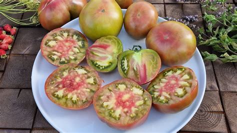 Сорт томата "Медная Река", сочный и вкусный красавец. "Copper River ...