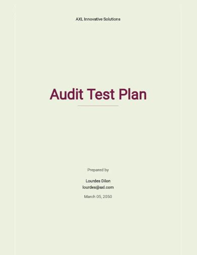 Sample Of Audit Test Template For Budget Authorization