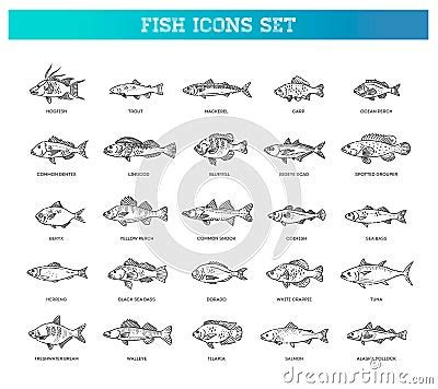 Vector Set Of Fish Types Marine Ocean Fish And Freshwater Fish