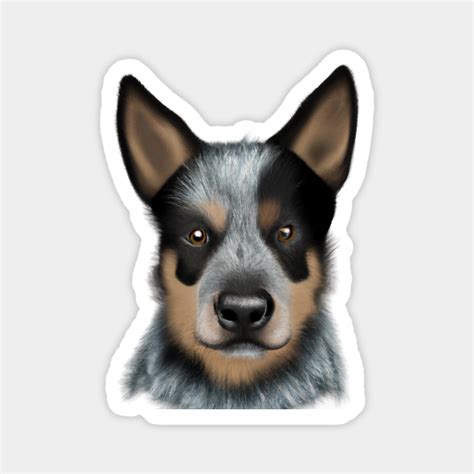 Cute Australian Cattle Dog Drawing Australian Cattle Dog Magnet