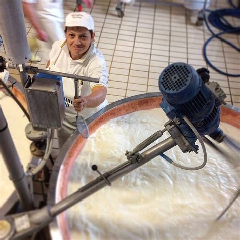 Caseifici Aperti Un Week End Alla Scoperta Del Parmigiano Reggiano Dop