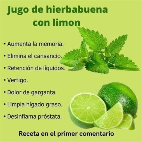 Beneficios Del Té De Hierbabuena