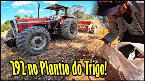 FUI AJUDAR MEU PRIMO PLANTAR TRIGO MASSEY FERGUSON 292 TURBO TRATOR