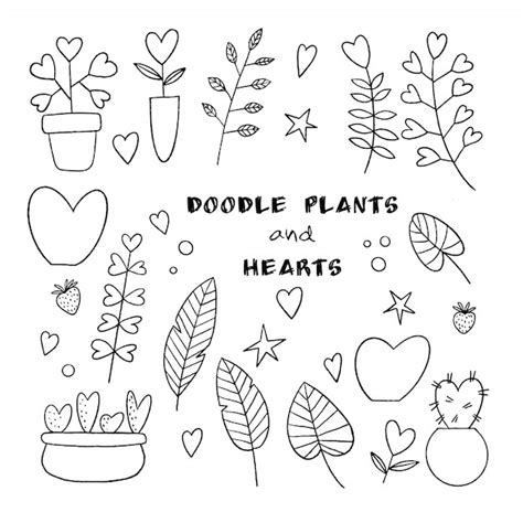 Conjunto De Plantas De Vector De Contorno En Estilo Doodle Vector Premium