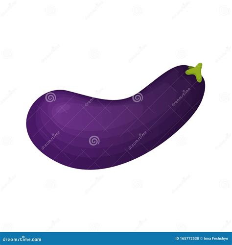 Eggplant Fresh Vegetable Vector Concept Healthy Diet Flat Style