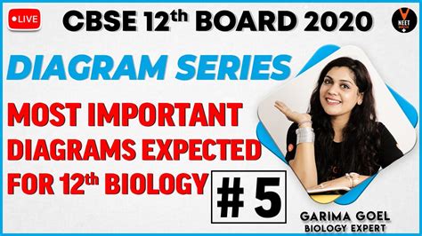 Biology Class 12 Important Diagrams 2020 Cbse Part 5 Cbse 12th