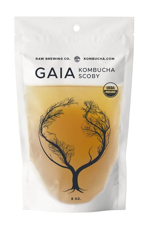 Amazon Kombucha Certified Organic Kombucha Scoby Gaia