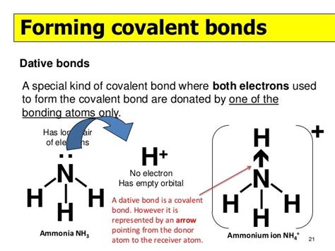 Electron Dot Diagram Of Ammonium Ion - Wiring Diagram Pictures