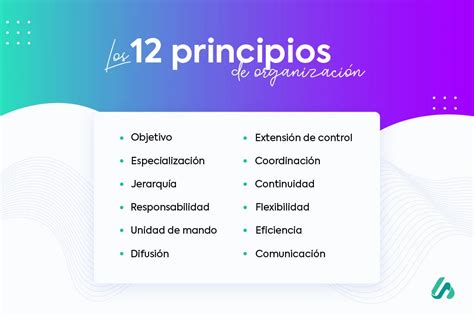 Principios de la organización para la gestión empresarial