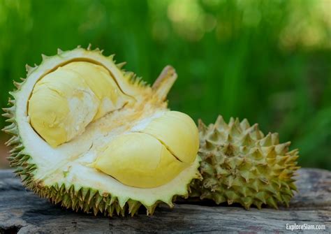 Durian: The Fruit that Divides and Delights