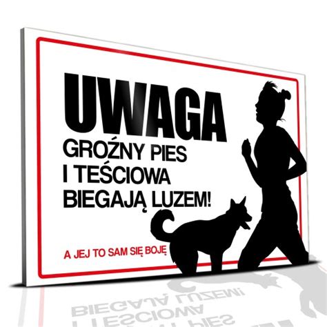 Tabliczka PCV 22x15 UWAGA Groźny Pies Teściowa Wzo Tabliczka