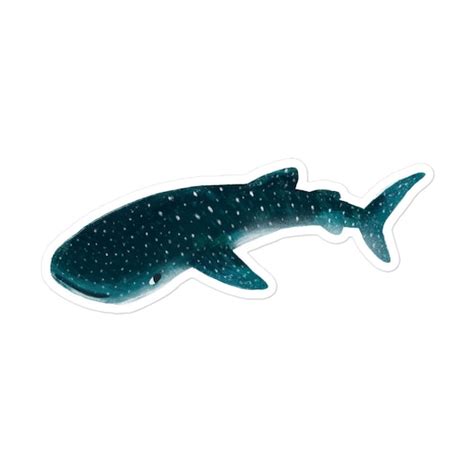 Sticker Whale Shark Stickers for Hydroflask Water Bottle - Etsy