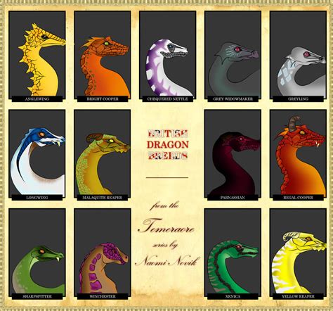 british dragon breeds by shyangell on DeviantArt