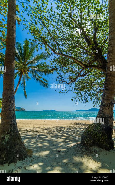 Amazing Tropical Beach With Coconut Trees Stock Photo Alamy