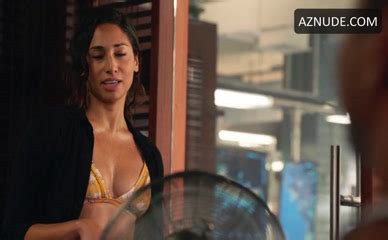 Meaghan Rath Bikini Scene In Hawaii Five 0 AZNude
