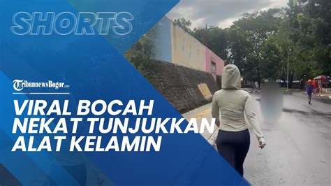 Video Viral Bocah Nekat Tunjukkan Alat Kelamin Ke Wanita Yang Joging Di