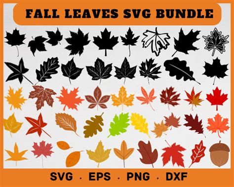 Fall Leaves Svg, Fall Leaves Svg, Fall Leaf Svg, Fall Leaves Svg, Maple Leaf Svg, Oak Leaf Svg ...