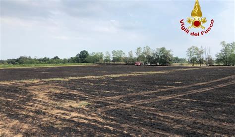 Incendio A Graffignana Ettari Di Terreno Carbonizzati Prima Lodi