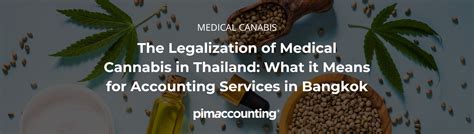 The Legalization Of Medical Cannabis In Thailand What It Means For