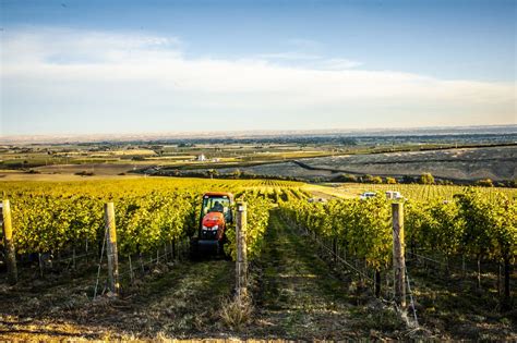 The Wine And Food Lover’s Guide To Walla Walla Washington