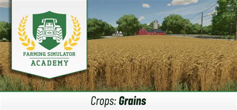 Farming Simulator 22 Sow And Harvest Grains Fs22 Mod