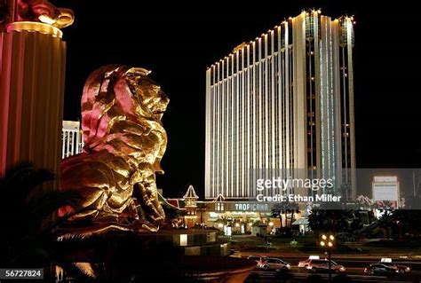 Mgm Grand Lion Photos and Premium High Res Pictures - Getty Images