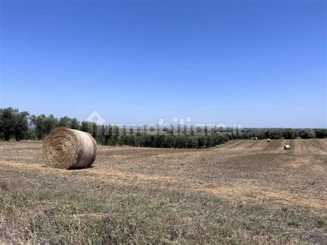 Terreno Agricolo Strada Quartuccio Viterbo Rif