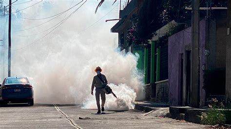 Refuerza Ssm Acciones Contra El Dengue En Michoac N