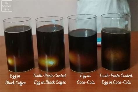 Egg and Toothpaste Experiment (Learn Importance of Brushing Your Teeth)