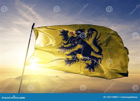 Flanders Vlaanderen Region of Belgium Flag Textile Cloth Fabric Waving ...