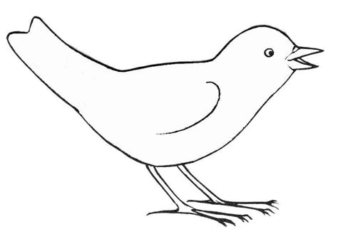 Oiseau Coloriage A Imprimer