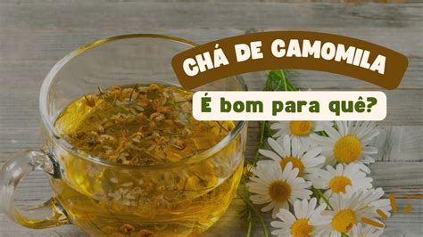 Chá de Camomila 8 Benefícios Como Fazer É bom para quê