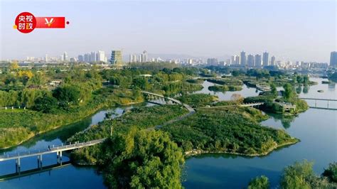 习近平陕西行丨走进汉中市天汉湿地公园四川在线