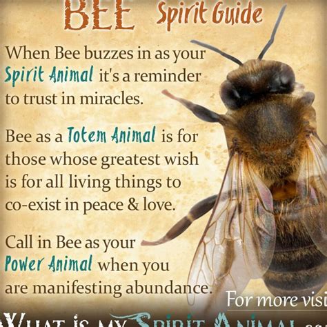 The Spiritual Meaning Of Bee Love Unveiling The Profound Symbolism