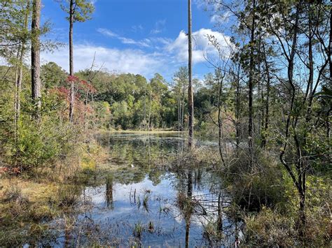 Forest Management Specialists, Inc. - FMS, proudly servicing the forest