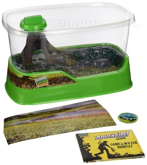 tree frog enclosure 3