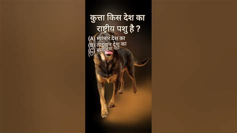 कुत्ता किस देश का राष्ट्रीय पशु है Kutta Kis Desh Ka Raashtreey