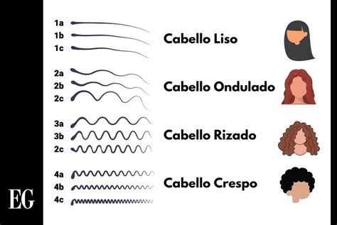 Guía Completa Sobre Tipos De Pelo Identifica Y Cuida Tu Estilo Único