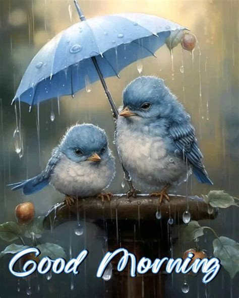 Daisybug Good Morning Beautiful Beautiful Birds Rainy Morning