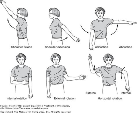 Range Of Motion Flashcards Quizlet