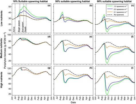 Model Simulations Of Periphyton Biomass Dynamics With Different