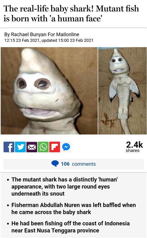 A shark has got human eyes. : r/rickygervais