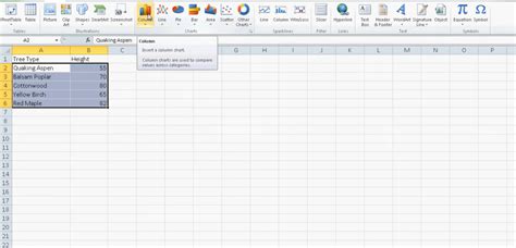 bar chart  excel step  step tutorial
