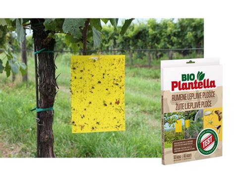 Лепящи Bio Plantella против насекоми 10 бр. #1464