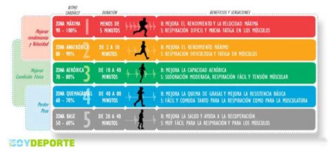 Zonas De Entrenamiento Card Acas Soy Deporte