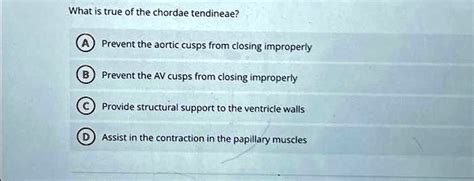 Solved What Is True Of The Chordae Tendineae A Prevent The Aortic Cusps From Closing