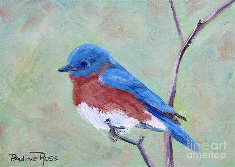 Bluebird On A Limb Painting By Pauline Ross Fine Art America