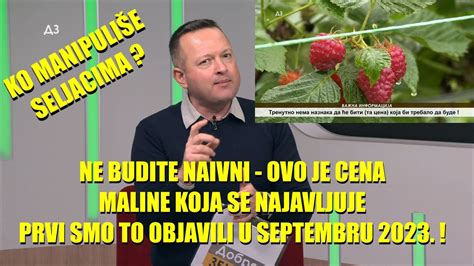 Cenu Maline Planiranu Smo Razotkrili Jo Na Jesen A Sada